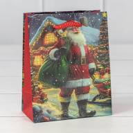 Пакет подарочный &quot;Новый год&quot; (микс 435) 12*15*6,7 128г 1/20 1/600 Арт: 300435H - Пакет подарочный "Новый год" (микс 435) 12*15*6,7 128г 1/20 1/600 Арт: 300435H