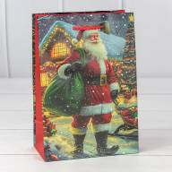 Пакет подарочный &quot;Новый год&quot; (микс 435) 14*20*8 128г 1/20 1/600 Арт: 300435G - Пакет подарочный "Новый год" (микс 435) 14*20*8 128г 1/20 1/600 Арт: 300435G