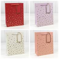 Пакет подарочный с тиснением &quot;Сердечки&quot; (микс 1) 18*23*10 210г 1/20 1/360 Арт: 000880E - Пакет подарочный с тиснением "Сердечки" (микс 1) 18*23*10 210г 1/20 1/360 Арт: 000880E