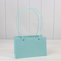 Пакет подарочный "Ваза для цветов" 22*13,5*10,5 230г Голубой 1/10 1/120 Арт: 000170EA/635