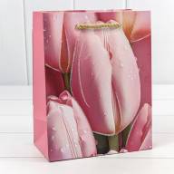 Пакет подарочный с блёстками "Тюльпаны" (микс 256) 18*23*10 210г 1/20 1/360 Арт: 000256E - Пакет подарочный с блёстками "Тюльпаны" (микс 256) 18*23*10 210г 1/20 1/360 Арт: 000256E