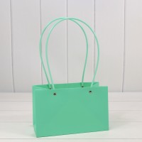 Пакет подарочный "Ваза для цветов" 22*13,5*10,5 230г Тиффани 1/10 1/120 Арт: 000170EA/3375