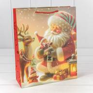 Пакет подарочный &quot;Новый год&quot; (микс 421) 26*32*10 210г 1/20 1/240 Арт: 300421C - Пакет подарочный "Новый год" (микс 421) 26*32*10 210г 1/20 1/240 Арт: 300421C