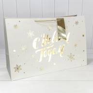 Пакет подарочный &quot;Новый год&quot; (микс 401) 64*42*25 210г 1/20 1/60 Арт: 300401NA - Пакет подарочный "Новый год" (микс 401) 64*42*25 210г 1/20 1/60 Арт: 300401NA