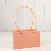 Пакет подарочный "Ваза для цветов" 22*13,5*10,5 230г Бежево-красный 1/10 1/120 Арт: 000170EA/4033